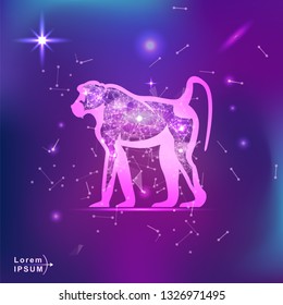 monkey baboon. Polygonal wireframe monkey silhouette on gradient background. Space, futuristic, zodiac concept. Shine neon style vector illustration