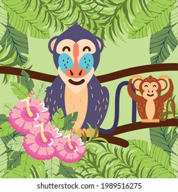 monkey baboon tropical leaves cartoon