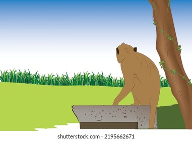 monkey back view with background art vector image