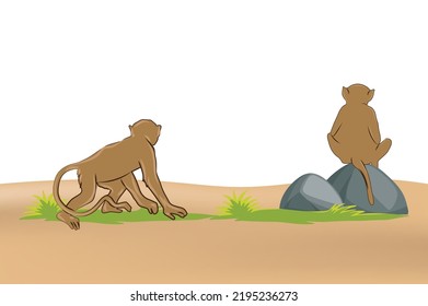 monkey back view vector art image poses
