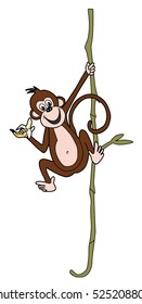 Monkey with banana