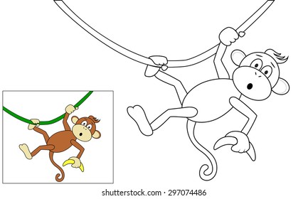 Monkey with a banana hanging on the vine