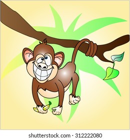 Monkey with banana hangs on a branch