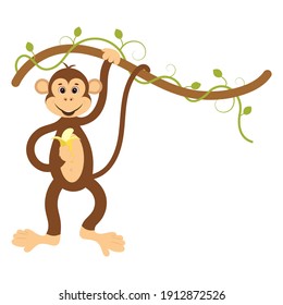 Monkey with a banana on a vine. Flat vector illustration.