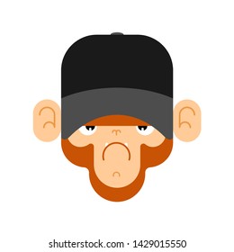 Monkey in Baseball cap. Gorilla face. Vector illustration