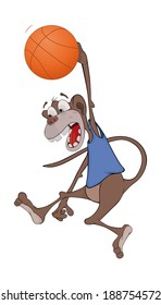 Monkey the basketball player