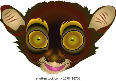 Monkey big eyes vector - monkey with big eyes with white background - vector