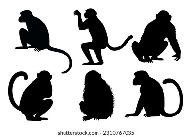 Monkey black silhouettes set. Animals primate in different poses. Vector illustration isolated on white background