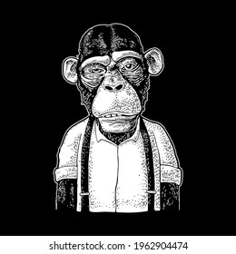 Monkey businessman dressed in the shirt and suspender. Vintage white engraving illustration for poster and t-shirt. Isolated on black background