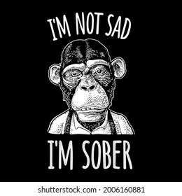 Monkey businessman dressed in the shirt and suspender. Vintage black engraving illustration for poster. Isolated on white background. Handwriting lettering - i'm not sad i'm sober