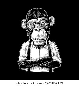 Monkey businessman with paws crossed dressed in the shirt and suspender. Vintage white engraving illustration for poster and t-shirt. Isolated on black background