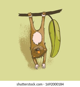 MONKEY Cartoon Cute Circus Jungle Animal Hand Drawn Vector