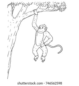 Drawing Monkey Images Stock Photos Vectors Shutterstock Find the perfect monkey drawing stock illustrations from getty images. https www shutterstock com image vector monkey cartoon vector hand drawn 746562598