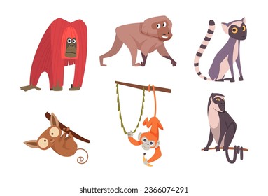 Monkey. Cartoon wild animals in action poses exact vector funny monkeys collection