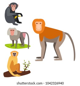 Monkey character animal different breads wild zoo ape chimpanzee vector illustration.