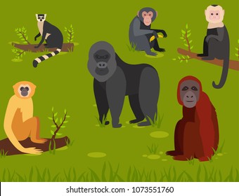 Monkey character animal different breads wild zoo ape chimpanzee vector illustration.