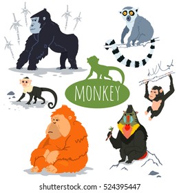 Monkey character vector set. Cartoon illustration of a gorilla, capuchin, lemur, orangutan, chimpanzee, mandrill.