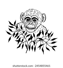 Monkey, chimpanzee in leaves, bush. Vector stock illustration eps10. Isolate on a white background, outline. Hand drawing.