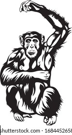 Monkey, Chimpanzee with raised hand vector illustration, engraving, woodcut, cliché, comics, graffiti or stamp style informative sign 