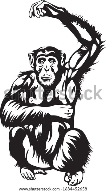 猿 チンパンジー 手描きのベクターイラスト 彫刻 木版画 陳腐 漫画 落書き スタンプスタイルの情報標識 のベクター画像素材 ロイヤリティフリー