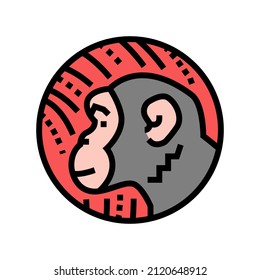 monkey chinese horoscope animal color icon vector. monkey chinese horoscope animal sign. isolated symbol illustration