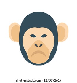 monkey   circus   animal  