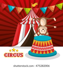 monkey circus animal show isolated icon vector illustration design