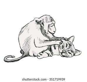 Monkey cleans the cat