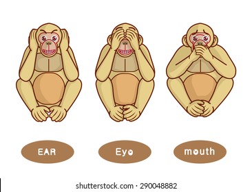 monkey close ear eye mouth