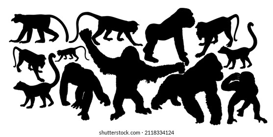 Monkey collection vector silhouette illustration isolated on white background. Chimpanzee. Gorilla. Proboscis monkey nasalis larvatus, nose monkey. Langur. Red shanked Douc. Lemur. Orangutan symbol.