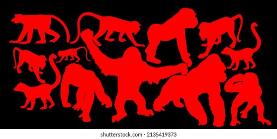 Monkey collection vector silhouette illustration isolated on black background. Chimpanzee. Gorilla. Proboscis monkey nasalis larvatus, nose monkey. Langur. Red shanked Douc. Lemur. Orangutan symbol.