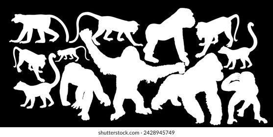 Monkey collection vector silhouette illustration isolated on black background. Chimpanzee. Gorilla. Proboscis monkey nasalis larvatus, nose monkey. Langur. Red shanked Douc. Lemur. Orangutan symbol.