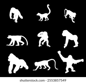 Monkey collection vector silhouette illustration isolated on background. Chimpanzee. Gorilla. Proboscis monkey nasalis larvatus, nose monkey. Langur. Red shanked Douc. Lemur. Orangutan symbol.