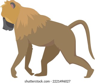 Monkey color icon. Jungle animal. Wild primate