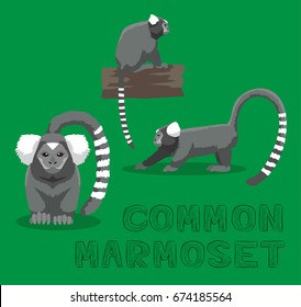 Monkey Common Marmoset Cartoon Vector Illustration