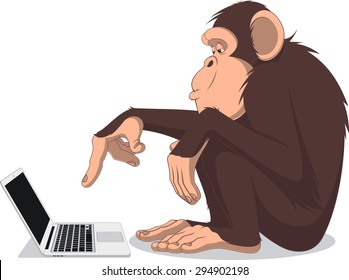 Monkey and computer