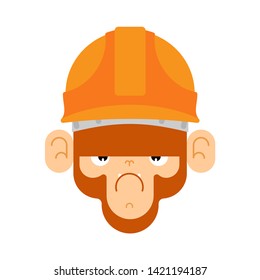 Monkey in construction helmet. marmoset builder. Vector illustration