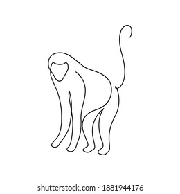 Monkey in continuous line art drawing style. Baboon primate minimalist black linear design isolated on white background. Vector illustration