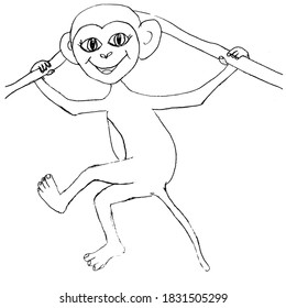 Monkey cub from jungle, hopping on trees. Cartoon, vector sketch image. Can be used for printing and video