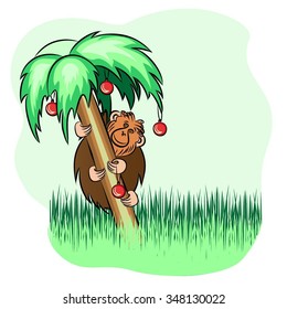 monkey decorating palm tree with Christmas decoration. Vector