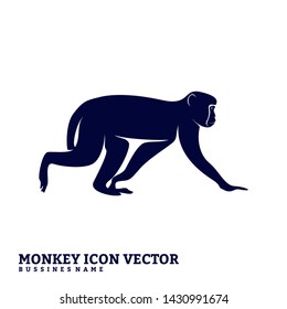 Monkey Design Vector. Silhouette of Monkey. Vector illustration