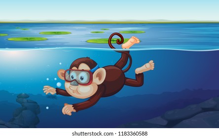 A monkey diving in the pond illustration