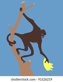 Monkey Do