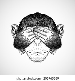 monkey doesn't see