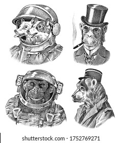 Monkey and Dogs astronaut, Bear in military style. Chimpanzee Spaceman dressed in Suit. Fashion Animal character. Hand drawn sketch. Vector engraved illustration for label, logo and T-shirts or tattoo