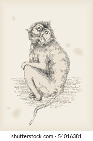 monkey drawing