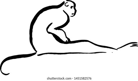 Monkey drawing handmade with brush and Chinese ink. Vector