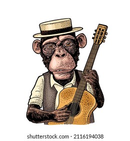 Monkey dressed hat and shirt holding guitar. Vintage color engraving illustration. Isolated on white background. Hand drawn design element for poster