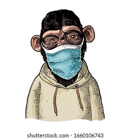 Monkey dressed in the hoodie and medical blue mask. Vintage color engraving illustration isolated on white. Hand drawn design element for poster quarantine coronavirus