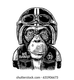 Monkey dressed in human motorcycle helmet and glasses. Hell monkeys and 1% lettering on the waistcoat. Vintage black engraving illustration for poster and t-shirt design bike club. Isolated on white